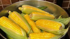 Ako a ako dlho sa varí kukurica – a čo je dobré pridať do vody, aby bola mäkká